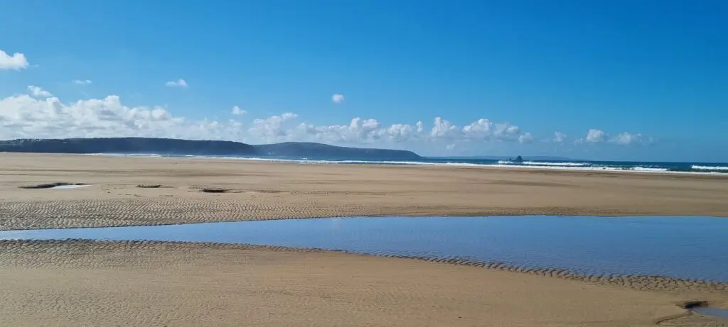 Are Cornwall Beaches Dog Friendly Rules to Know